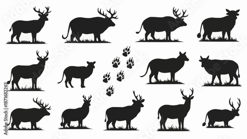 Collection of Deer Silhouettes and Paw Prints.