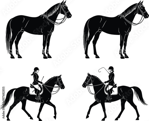 Horse and rider silhouette vector illustration set, equestrian sport poses collection, black stallion with jockey icons isolated on white background