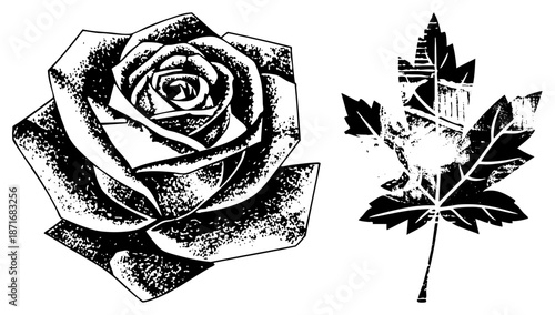 Vintage Halftone Rose and Maple Leaf Vector Illustration