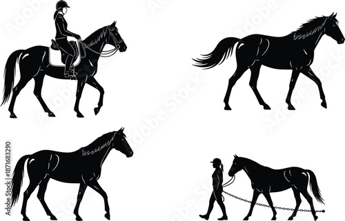 Large collection of black horse silhouettes featuring equestrian riders, walking horses, and training activities for ranch, farm, and competitive sports vector design.