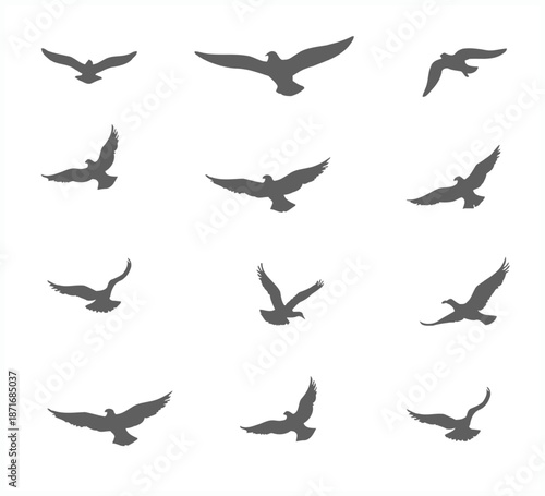 Collection of flying birds in various positions and angles