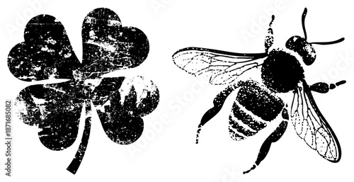 Four Leaf Clover and Bee in Vintage Grunge Vector Illustration