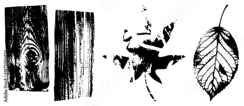 Black and White Wood Grain & Leaf Textures Vector Set
