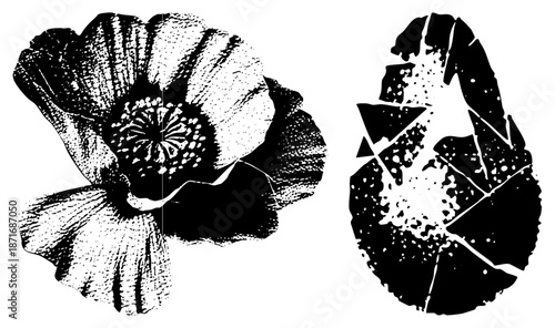 Vintage Halftone Poppy and Abstract Vector Illustration