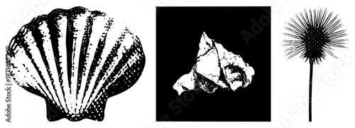 Three Nature Objects in Halftone Vector Style, Rock, Dandelion