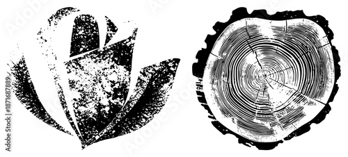 Stylized Leaf and Tree Ring Vector Illustrations with Grunge Texture
