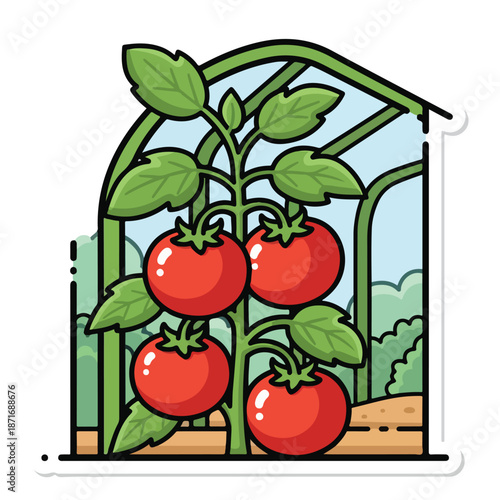 A cartoon tomato plant with four tomatoes
