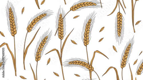 Golden wheat ears, organic cereal grain stalks, hand drawn agriculture harvest sketch, cad drawing flat vector illustration, isolated on white background