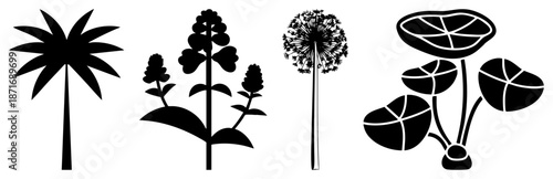 Four Botanical Silhouettes Featuring Palm, Flower, Dandelion, and Leafy Plant