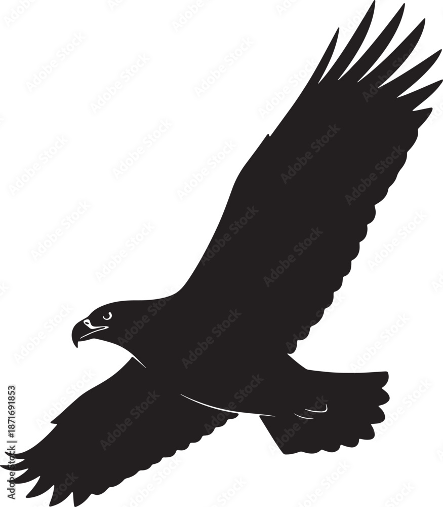 Fototapeta premium 30 Black Solid Silhouettes: Soaring Eagle Head Turn