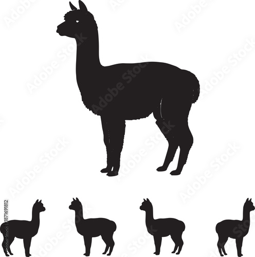 30 Black Solid Silhouettes: Standing Alpaca