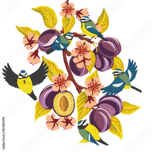 vector drawing plum tree branch with leaves, flowers and fruits and flying birds, isolated at white background, hand drawn illustration