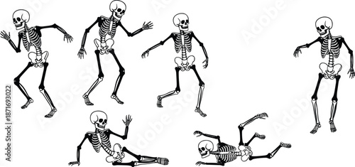 Skeleton character poses collection featuring walking, dancing, sitting, crawling, cartoon bone figure illustration, anatomical skeleton silhouettes for Halloween and educational design