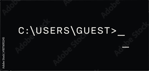 A computer screen displaying a command prompt with a cursor waiting for input, showing the directory path and Interface Element