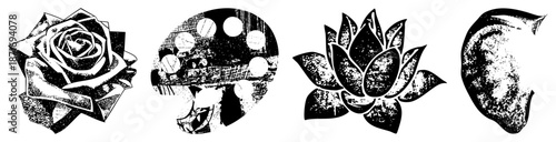 Four Stylized Botanical with Textured Vector Art