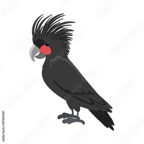 vector drawing birds, palm cockatoo, hand drawn , isolated nature design elements