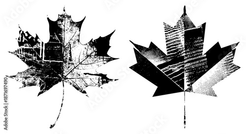 Canadian Maple Leaf Silhouettes with Halftone Cityscape and Leaf Vein