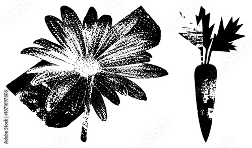 Vintage Halftone Daisy and Carrot Vector Illustration Set