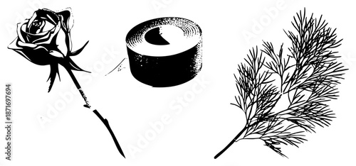 Elegant Black and White & Botanical Vector Set with Halftone Texture