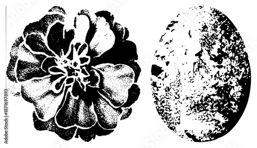 Halftone Flower and Coffee Bean Vector Illustration with Textured