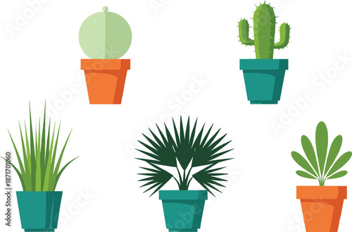 Potted houseplants and cactus vector set, minimal flat indoor plants illustration on white background