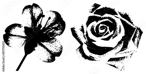 Black and White Silhouettes with Halftone Texture