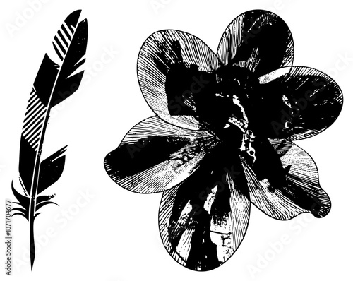 Vintage Ink Drawn Feather and Flower with Hatched Texture