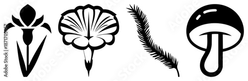 Four Stylized Nature Flower,, Feather, Mushroom in Black Silhouettes