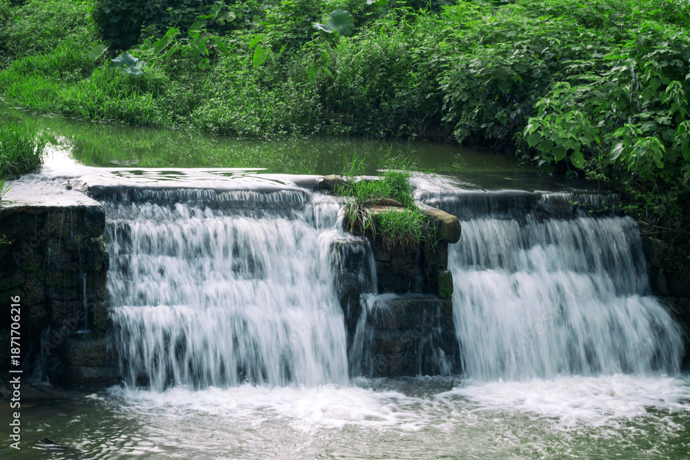 Fototapeta premium Forest Creek Waterfall Cooling Summer Nature Background