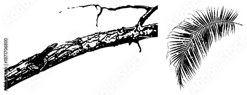 Stylized Tree Branch and Palm Leaf Vector Silhouettes