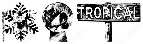 Vintage Snowflake, Globe, and Tropical Sign Vector