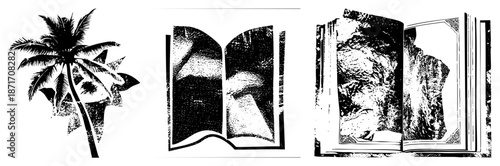 Tropical Palm Tree with Fronds and Leafy Canopy