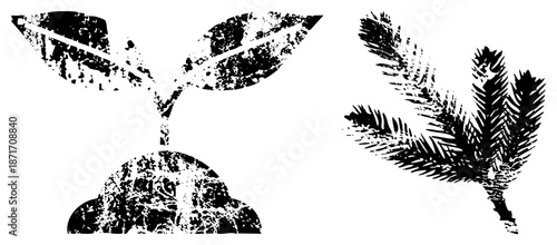 Stylized Plant Sprout and Pine Branch Silhouettes with Grunge Texture