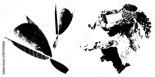 Abstract Black Ink Splatter and Streak Art Elements