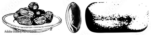 Stylized Date Fruit Illustration in Three Views Cluster, Single, and Section