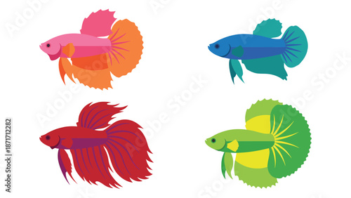 Vibrant Betta Fish Illustrations Set. Colorful Siamese Fighting Fish Vector Art Collection