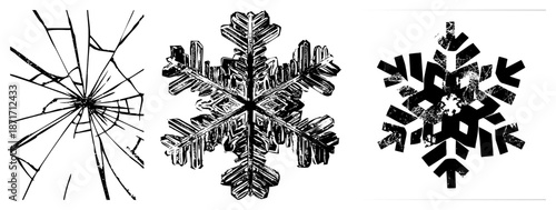 Three Distinct Snowflake Designs in Black and White Vector Art