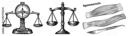 Vintage Scales and Aponeurosis Anatomy Illustration Set