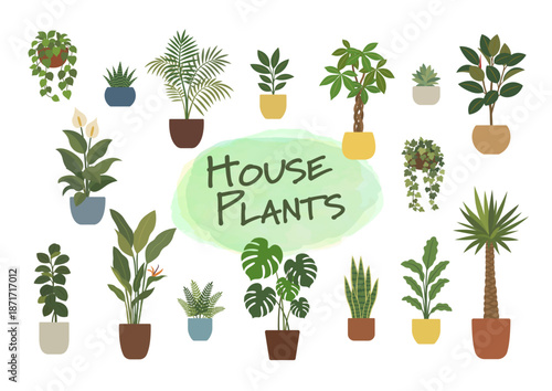 観葉植物が並ぶボタニカル背景｜Houseplants Lined Up Botanical Background with Copy Space