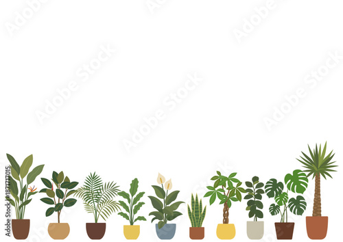 観葉植物が並ぶボタニカル背景｜Houseplants Lined Up Botanical Background with Copy Space