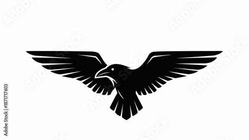 eagle in flight isolated