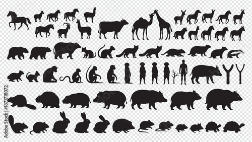 black silhouettes of various animals and people