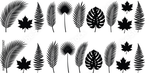 Tropical and autumn leaf silhouettes collection including palm fern monstera maple botanical foliage icons isolated on white background