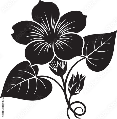 Black hibiscus flower with leaves and buds white silhouette