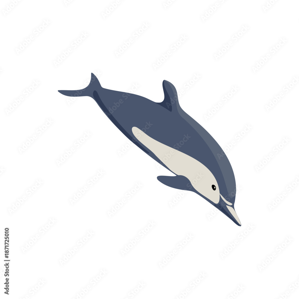 Fototapeta premium vector drawing common dolphin isolated at white background, hand drawn illustration