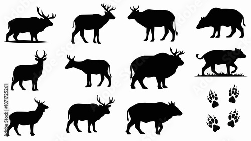 Collection of Wild Animal Silhouettes and Footprints.