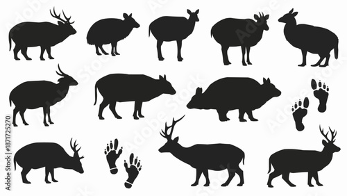 Collection of Wild Animal Silhouettes and Footprints.