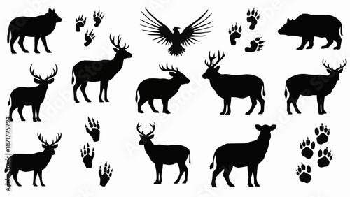 Collection of Wild Animal Silhouettes and Paw Prints.