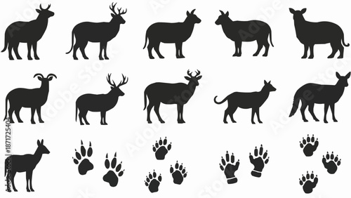 Collection of Deer and Animal Footprint Silhouettes.