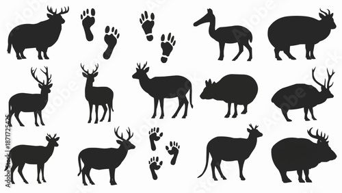 Collection of Deer and Animal Footprint Silhouettes.